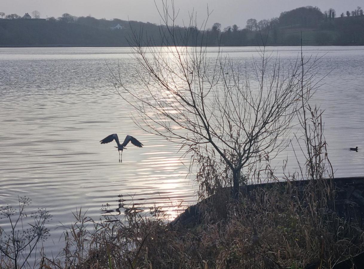 Appartamento Les Forges Du Lou Jugon-les-Lacs Esterno foto