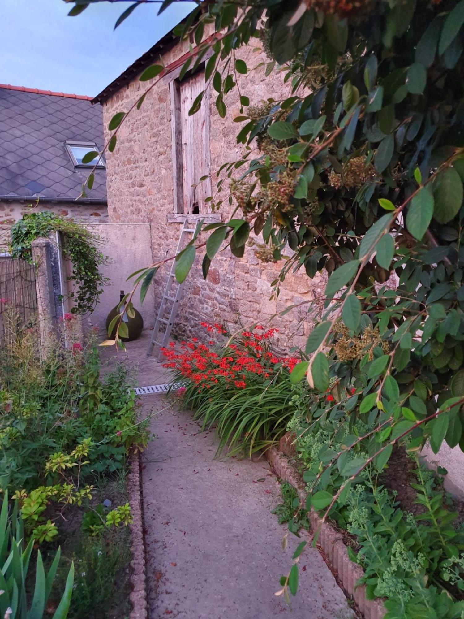 Appartamento Les Forges Du Lou Jugon-les-Lacs Esterno foto