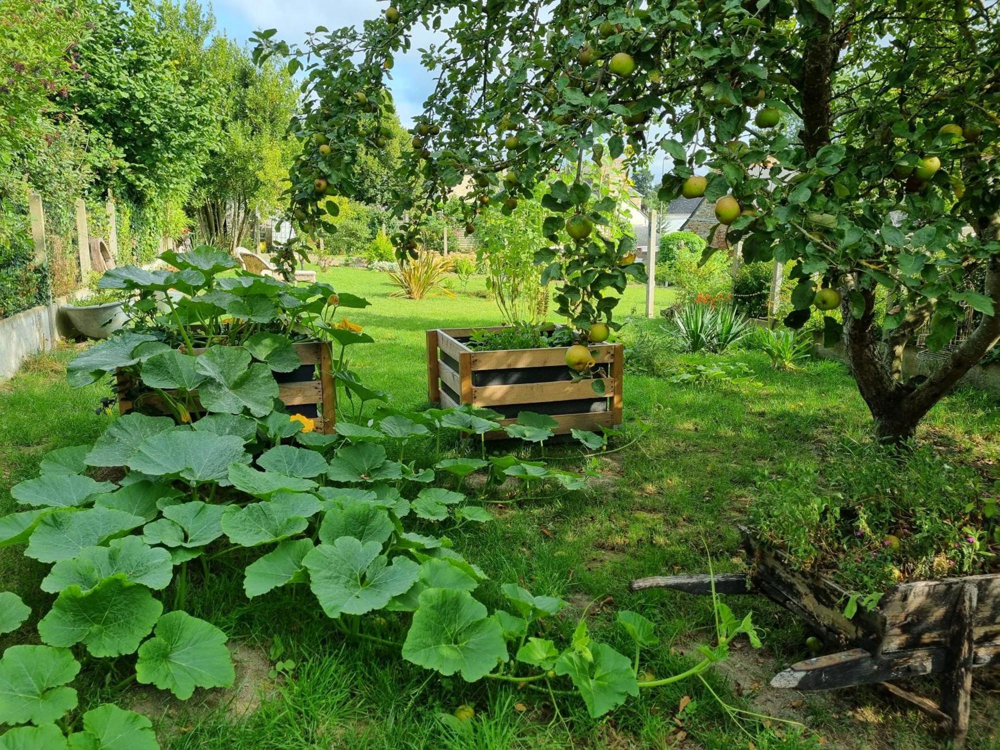 Appartamento Les Forges Du Lou Jugon-les-Lacs Esterno foto